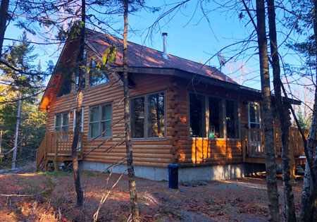 Log cabin surrounded by trees with sunlight on the facade