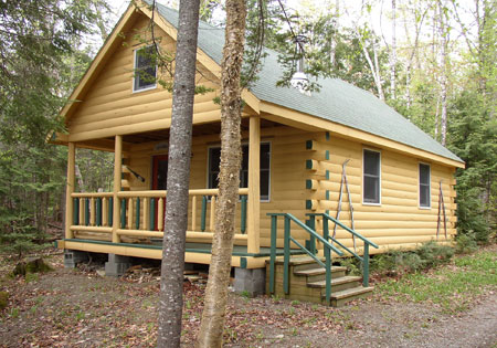 Small log cabin with green roof in forest
