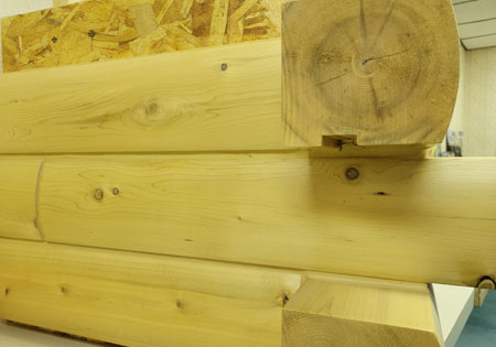 Close-Up of Log Wall Joinery